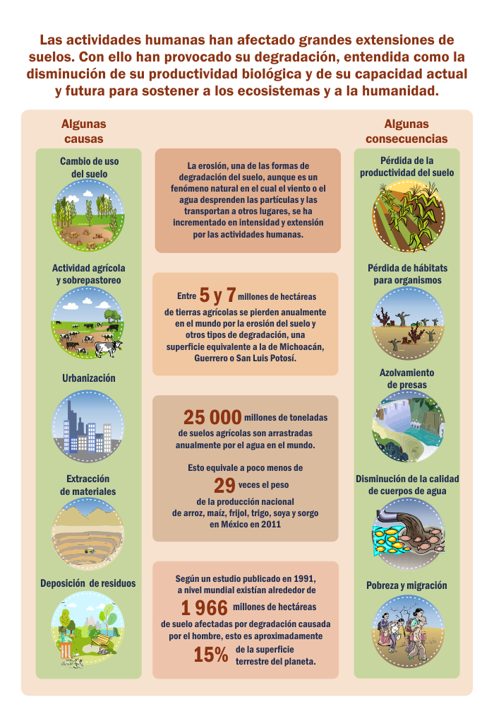 Infografias Ambientales