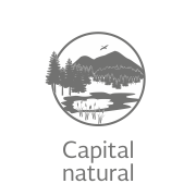 Capital natural 