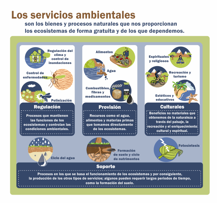 Infografías Ambientales 7022