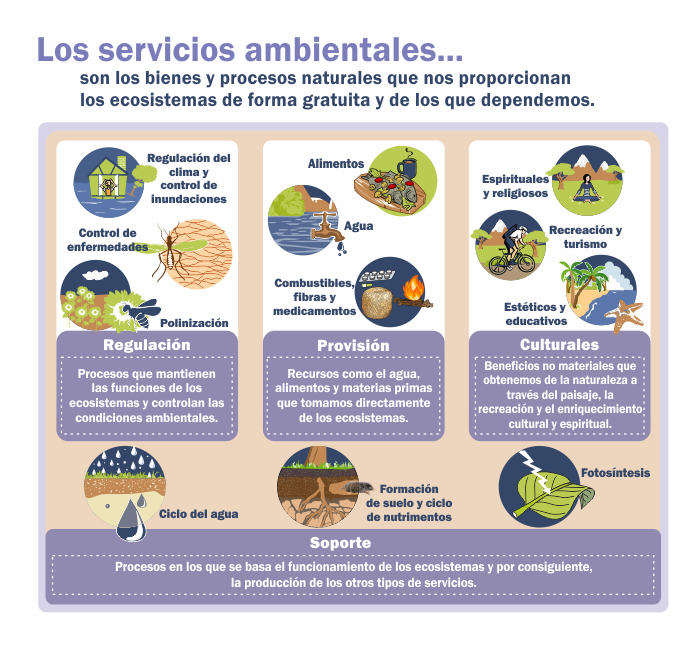 Infografías Ambientales