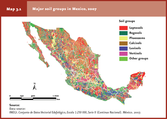 What are the most fertile soils around the world?